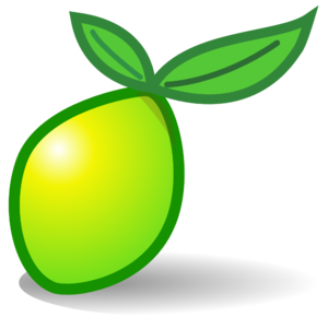 schulung Limesurvey logo